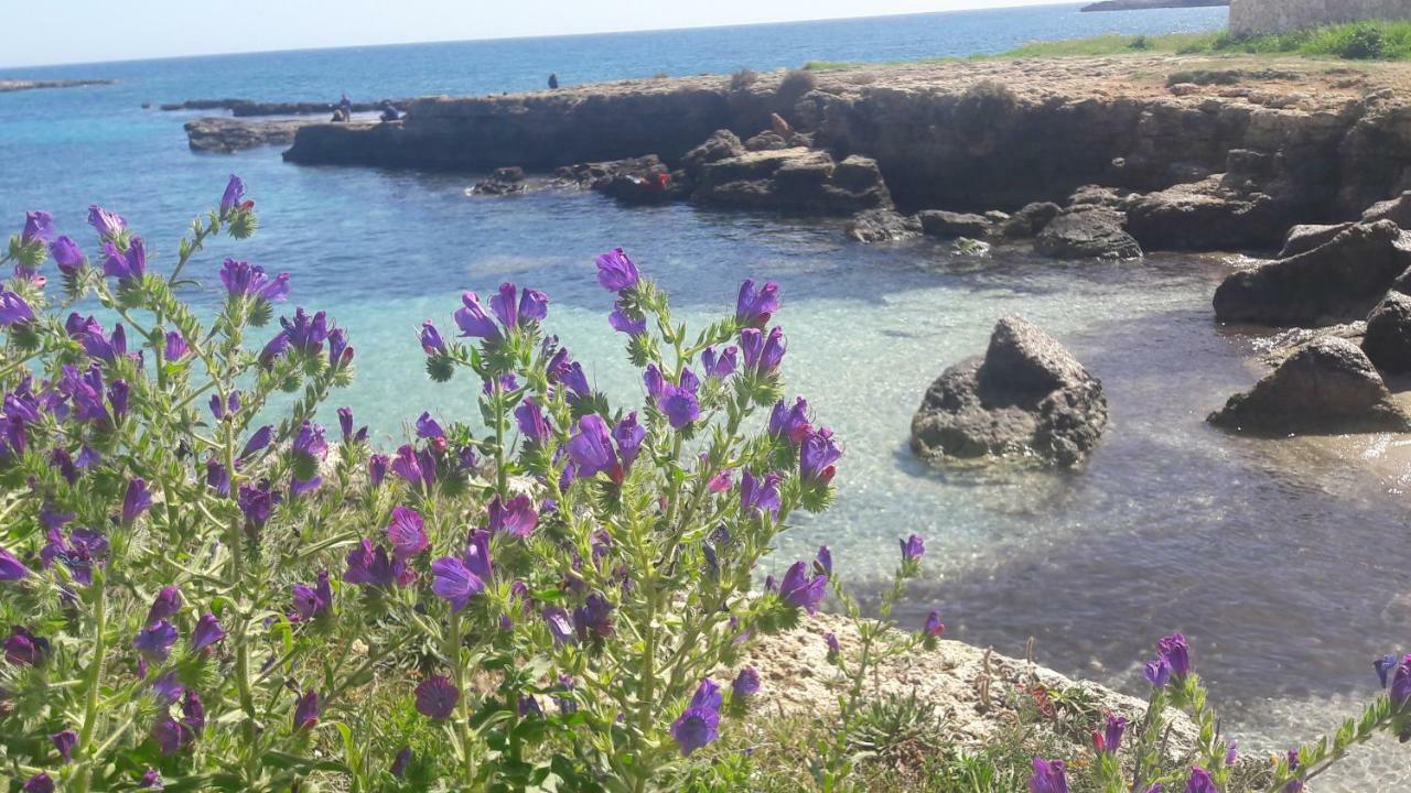 "Suliscenti" Dimora Siciliana B&B Авола Экстерьер фото